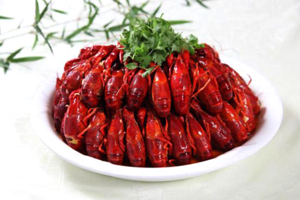 首页-玉祥集团迎接您