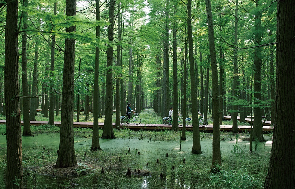 首页-玉祥集团迎接您