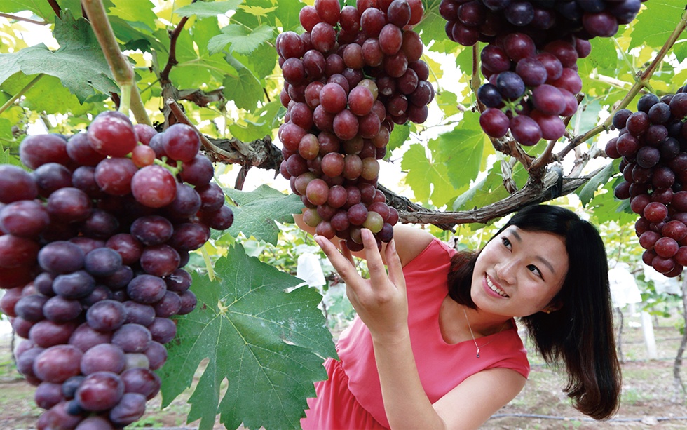 首页-玉祥集团迎接您