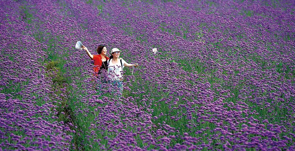 首页-玉祥集团迎接您