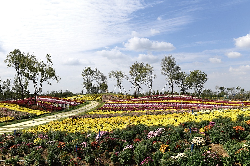 首页-玉祥集团迎接您
