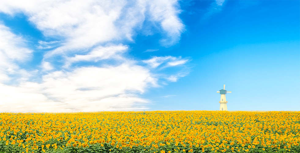首页-玉祥集团迎接您